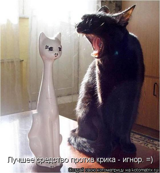 Котоматрица: Лучшее средство против крика - игнор. =)