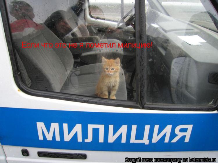 Котоматрица: Если что это не я пометил милицию!