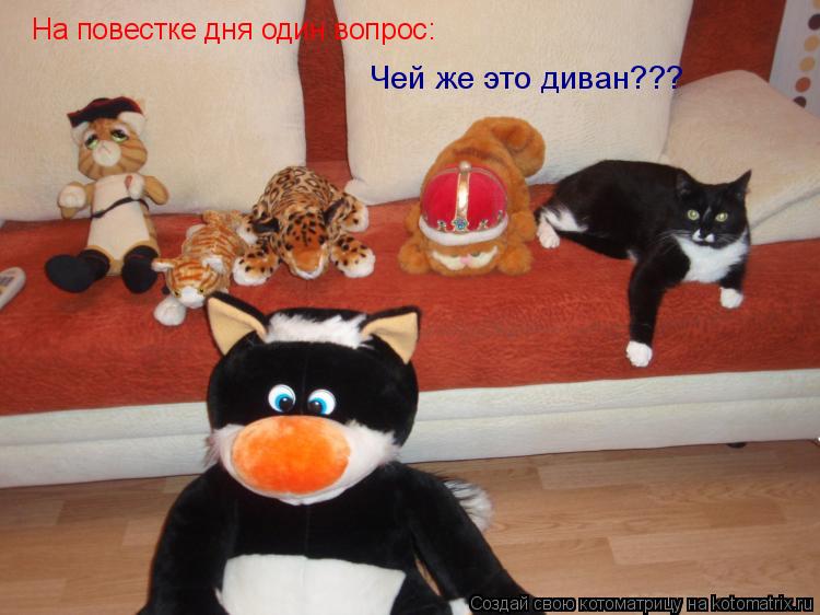 Котоматрица: На повестке дня один вопрос: Чей же это диван???