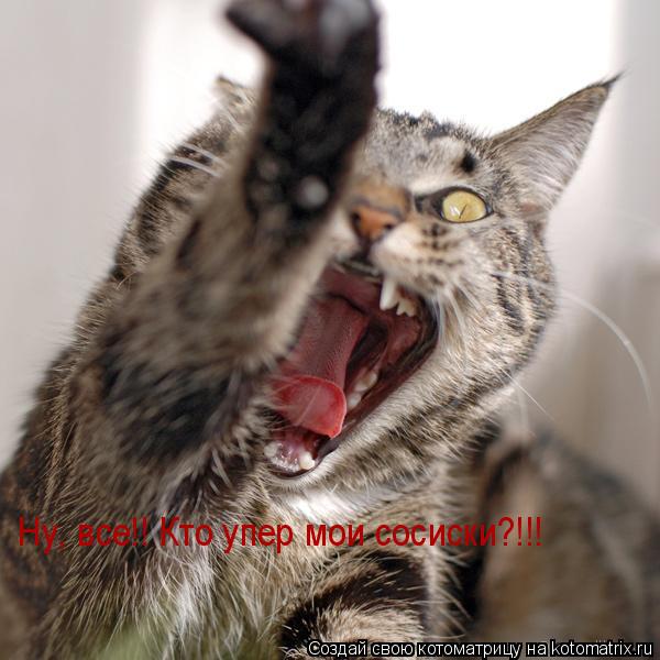 Котоматрица: Ну, все!! Кто упер мои сосиски?!!!
