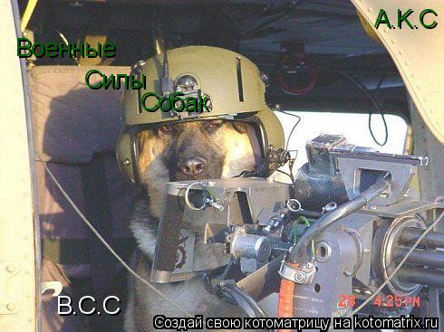 Котоматрица: В.С.С Военные Силы Собак A.K.C