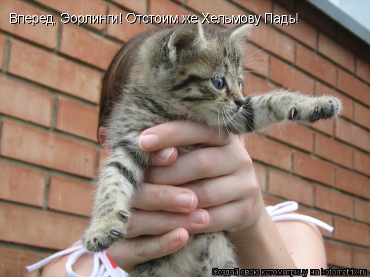 Котоматрица: Вперед, Эорлинги! Отстоим же Хельмову Падь!