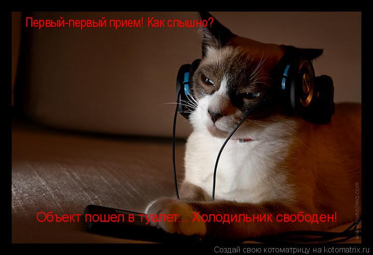 Котоматрица: Первый-первый прием! Как слышно? Объект пошел в туалет... Холодильник свободен!
