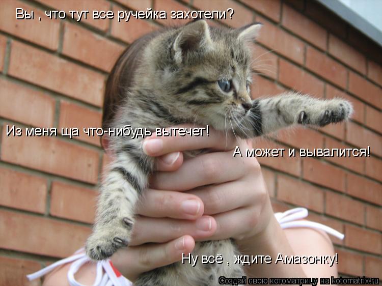 Котоматрица: Вы , что тут все ручейка захотели? Ну всё , ждите Амазонку! Из меня ща что-нибудь вытечет! А может и вывалится!