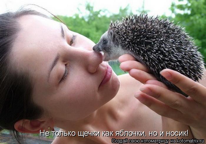 Котоматрица: Не только щечки как яблочки, но и носик!