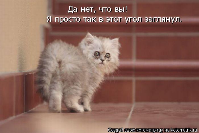Котоматрица: Да нет, что вы! Я просто так в этот угол заглянул.