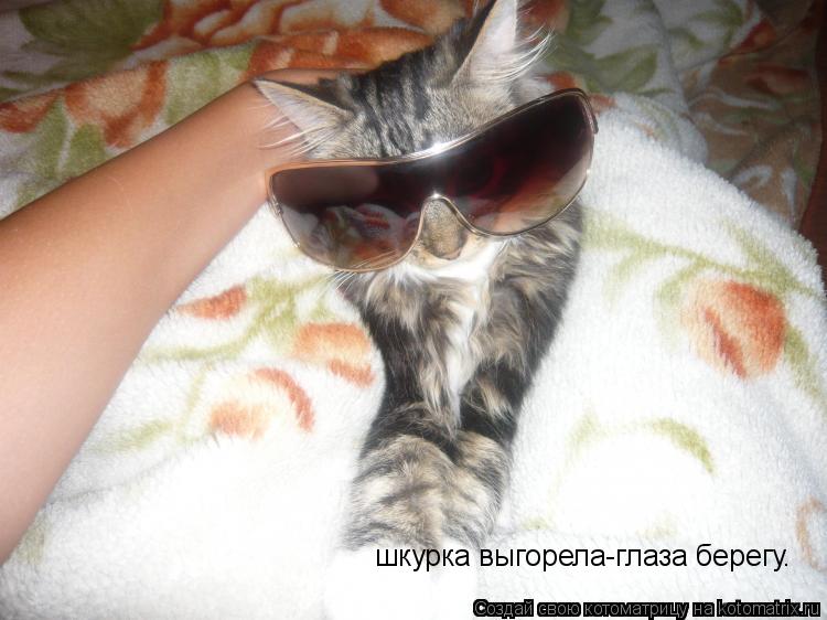 Котоматрица: шкурка выгорела-глаза берегу.