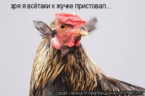 Котоматрица: зря я всётаки к жучке пристовал...