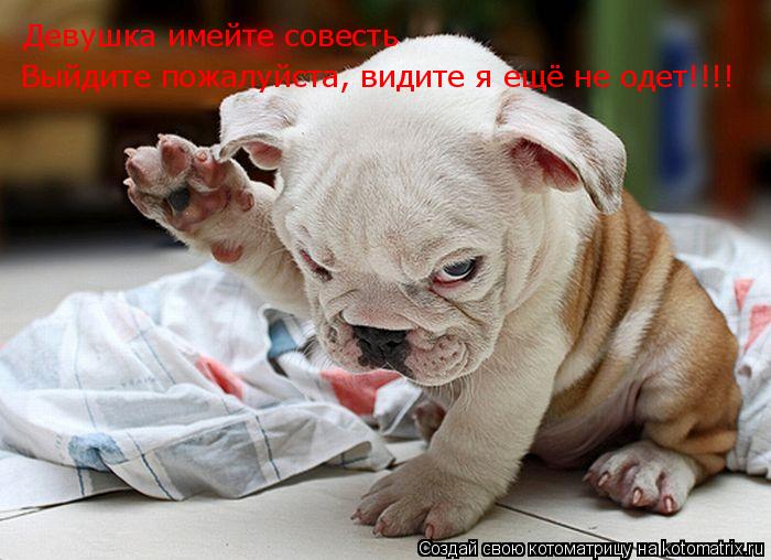 Котоматрица: Девушка имейте совесть, выйдете пожалуйста  Выйдите пожалуйста, видите я ещё не одет!!!! Девушка имейте совесть