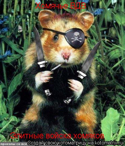Котоматрица: Хомячье ВДВ Элитные войска хомяков