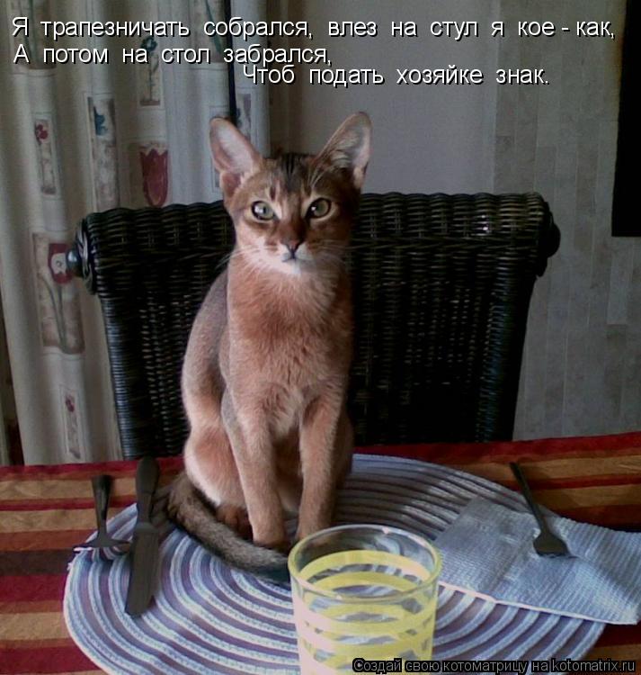 Котоматрица: Я  трапезничать  собрался,  влез  на  стул  я  кое - как, А  потом  на  стол  забрался, Чтоб  подать  хозяйке  знак.