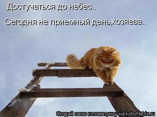 Котоматрица: Достучаться до небес.. Сегодня не приемный день, хозяева..