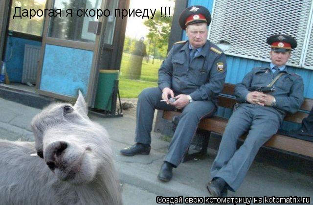 Котоматрица: Дарогая я скоро приеду !!!