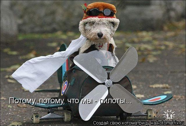 Котоматрица: Потому, потому, что мы - пилоты...