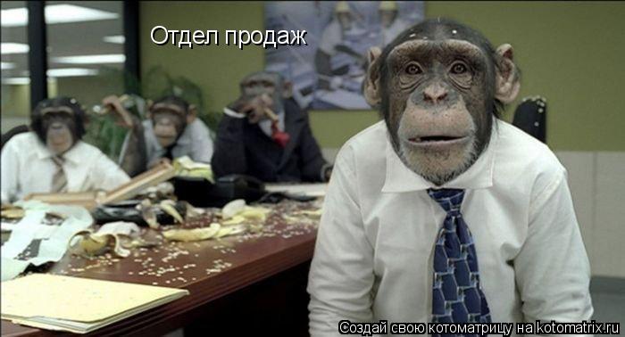Котоматрица: Отдел продаж