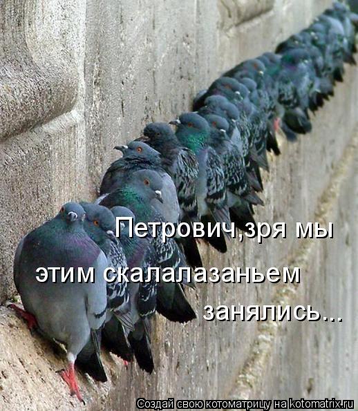 Котоматрица: Петрович,зря мы  этим скалалазаньем  занялись. ..