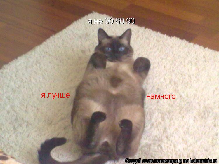 Котоматрица: я не 90 60 90 я лучше намного