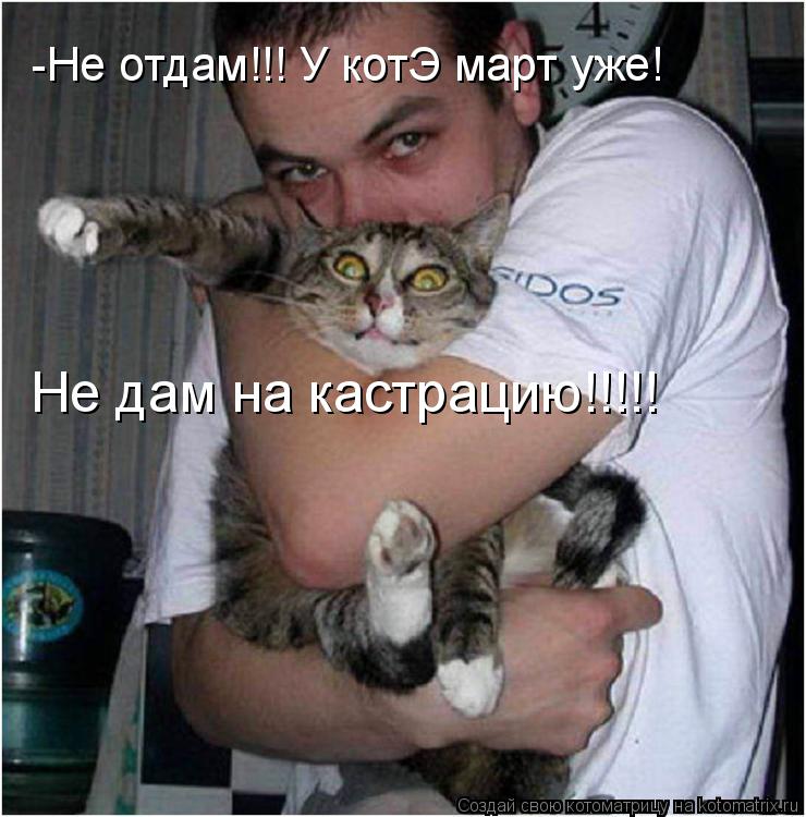 Котоматрица: -Не отдам!!! У котЭ март уже! Не дам на кастрацию!!!!!
