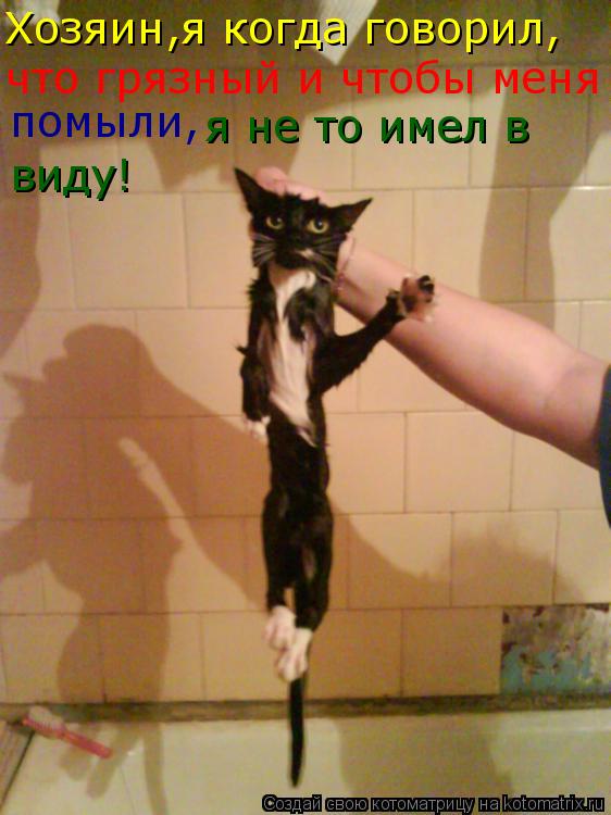 Котоматрица: Хозяин,я когда говорил, что грязный и чтобы меня помыли, я не то имел в виду!