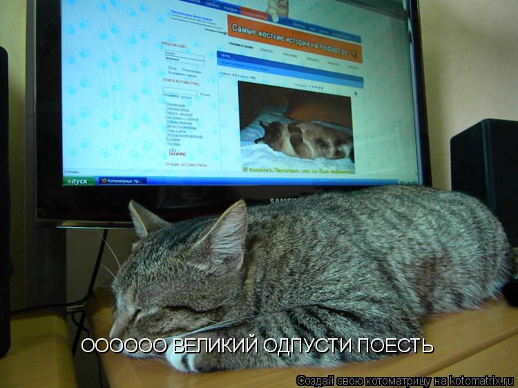 Котоматрица: ОООООО ВЕЛИКИЙ ОДПУСТИ ПОЕСТЬ