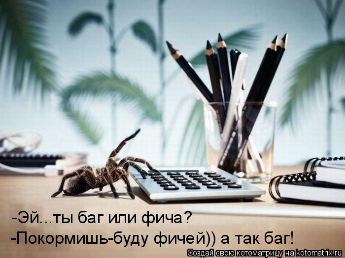 Котоматрица: -Эй...ты баг или фича? -Покормишь-буду фичей)) а так баг!