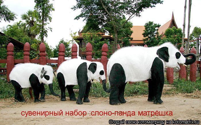 Котоматрица: сувенирный набор :слоно-панда матрёшка