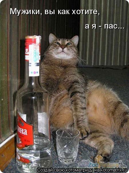 Котоматрица: Мужики, вы как хотите,  а я - пас...