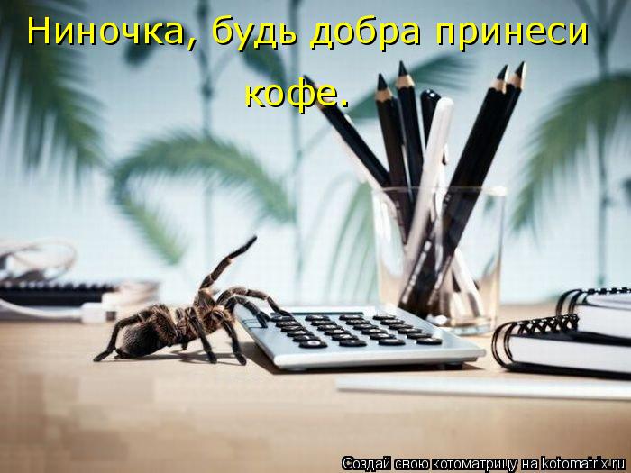Котоматрица: Ниночка, будь добра принеси кофе.