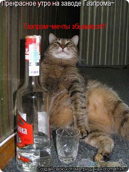 Котоматрица: Прекрасное утро на заводе Газпрома~ Прекрасное утро на заводе Газпрома~ Прекрасное утро на заводе Газпрома~ Газпром~мечты збываюся!!!