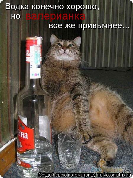 Котоматрица: Водка конечно хорошо, но валерианка все же привычнее...
