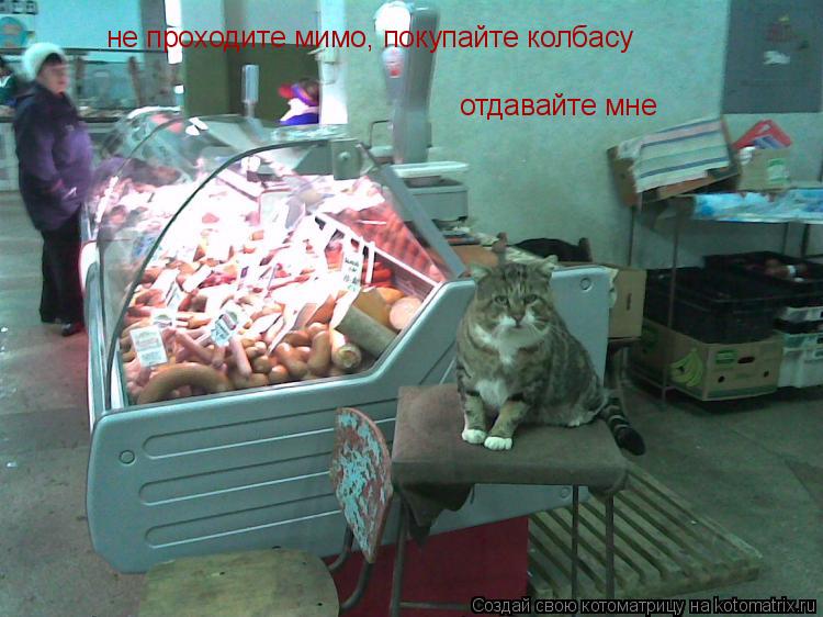 Котоматрица: не проходите мимо, покупайте колбасу отдавайте мне