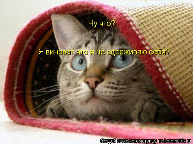 Котоматрица: Ну что? Я виноват что я не сдерживаю себя?