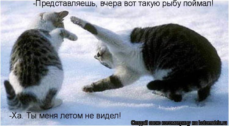 -Представляешь, вчера вот такую рыбу поймал! -Ха. Ты меня летом не видел!... Котоматрица: -Представляешь, вчера вот такую рыбу поймал! -Ха. Ты меня летом не видел!
