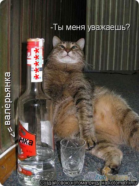 Котоматрица: -Ты меня уважаешь? нка <= валерьянка *****