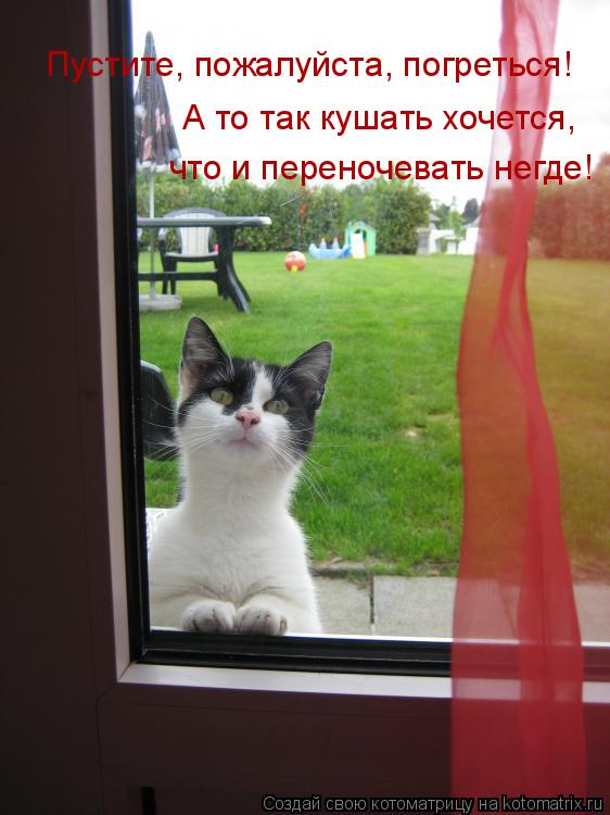 Пустите, пожалуйста, погреться! А то так кушать хочется, что и переночевать негде!... Котоматрица: Пустите, пожалуйста, погреться! А то так кушать хочется, что и переночевать негде!