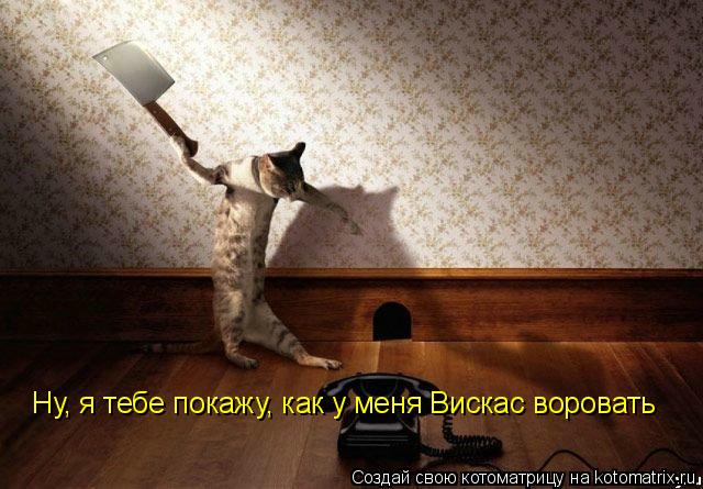 Ну, я тебе покажу, как у меня Вискас воровать... Котоматрица: Ну, я тебе покажу, как у меня Вискас воровать