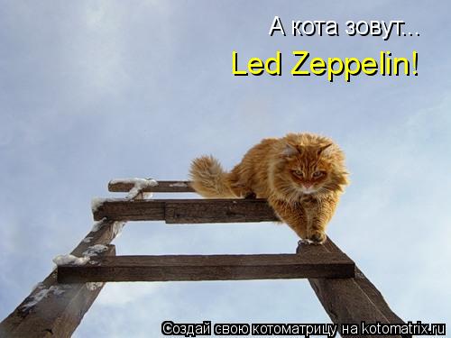 А кота зовут... Led Zeppelin!... Котоматрица: А кота зовут... Led Zeppelin!
