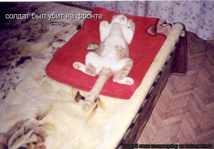 солдат был убит на фронте... Котоматрица: солдат был убит на фронте
