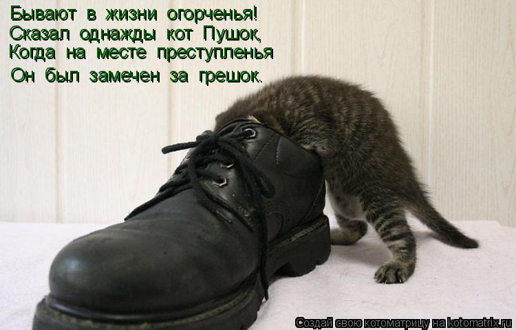 Бывают в жизни огорченья! Сказал однажды кот Пушок, Когда на месте преступленья Он был зам... Котоматрица: Бывают в жизни огорченья! Сказал однажды кот Пушок, Когда на месте преступленья Он был замечен за грешок.