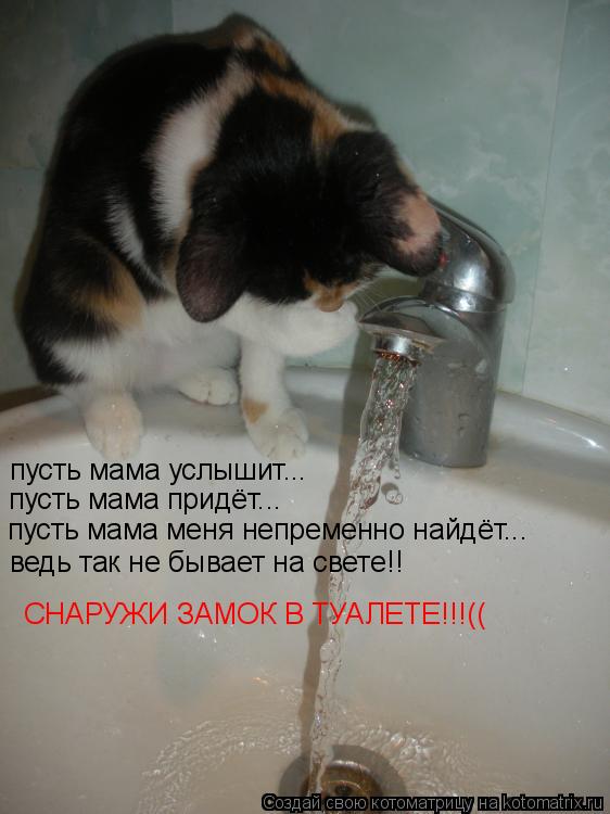 пусть мама услышит... пусть мама придёт... пусть мама меня непременно найдёт... ведь так не бывает на... Котоматрица: пусть мама услышит... пусть мама придёт... пусть мама меня непременно найдёт... ведь так не бывает на свете!! СНАРУЖИ ЗАМОК В ТУАЛЕТЕ!!!((