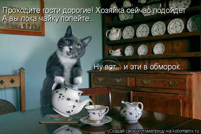 http://kotomatrix.ru/images/lolz/2010/03/11/511410.jpg