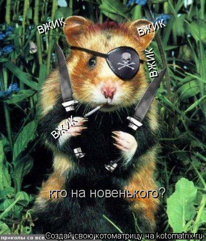 вжик вжик вжик вжик кто на новенького?... Котоматрица: вжик вжик вжик вжик кто на новенького?