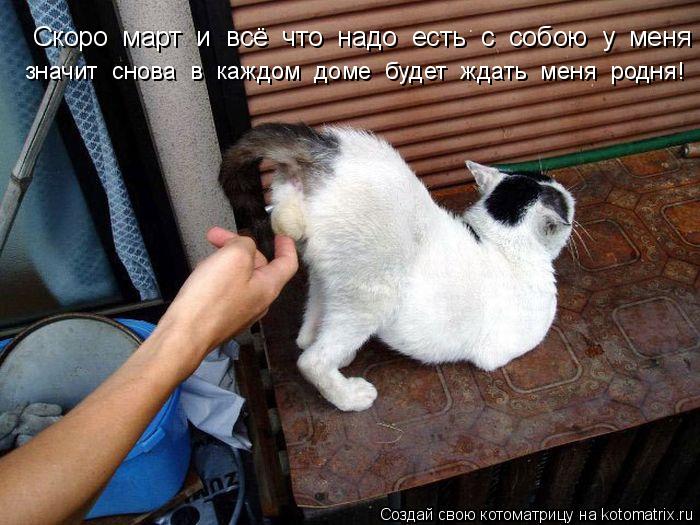 Скоро март и всё что надо есть с собою у меня значит снова в каждом доме будет ждать ... Котоматрица: Скоро март и всё что надо есть с собою у меня значит снова в каждом доме будет ждать меня родня!
