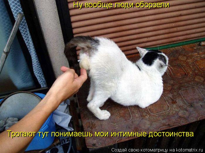 Ну вообще люди оборзели Трогают тут понимаешь мои интимные достоинства... Котоматрица: Ну вообще люди оборзели Трогают тут понимаешь мои интимные достоинства