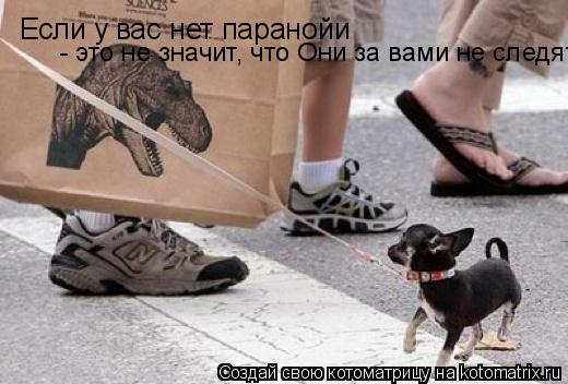 Если у вас нет паранойи - это не значит, что Они за вами не следят... Котоматрица: Если у вас нет паранойи - это не значит, что Они за вами не следят