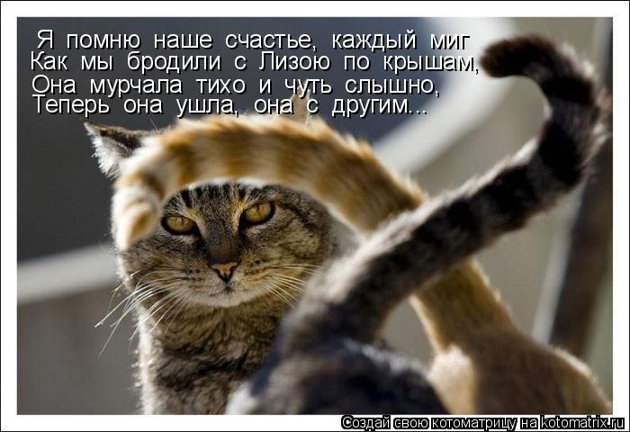 Я помню наше счастье, каждый миг Она мурчала тихо и чуть слышно, Как мы бродили с Лизою... Котоматрица: Я помню наше счастье, каждый миг Она мурчала тихо и чуть слышно, Как мы бродили с Лизою по крышам, Теперь она ушла, она с другим.
