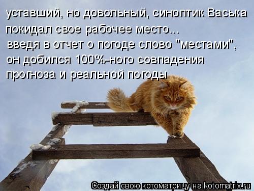 уставший, но довольный, синоптик Васька покидал свое рабочее место... введя в отчет о погоде слово "м... Котоматрица: уставший, но довольный, синоптик Васька покидал свое рабочее место... введя в отчет о погоде слово "местами", он добился 100%-ного совпадения п