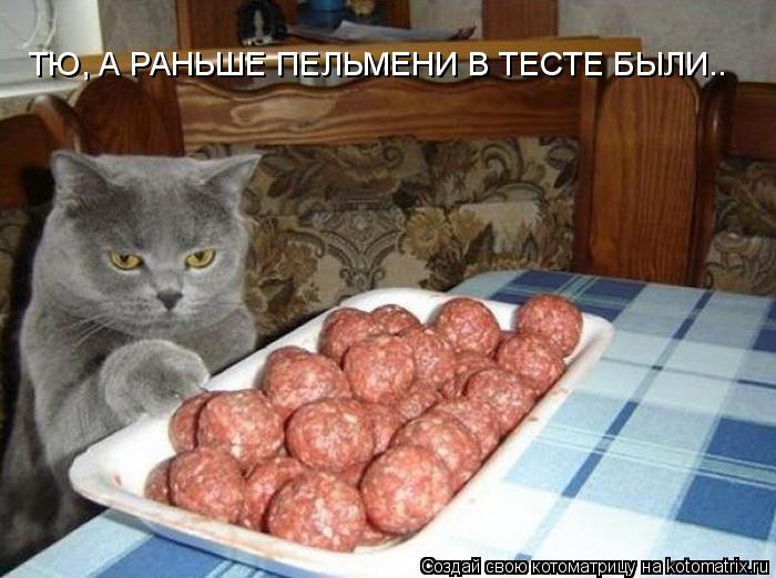 ТЮ, А РАНЬШЕ ПЕЛЬМЕНИ В ТЕСТЕ БЫЛИ..... Котоматрица: ТЮ, А РАНЬШЕ ПЕЛЬМЕНИ В ТЕСТЕ БЫЛИ..