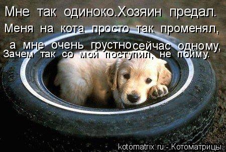 Котоматрица: Мне  так  одиноко.Хозяин  предал. Меня  на  кота  просто  так  променял, сейчас  одному, а  мне  очень  грустно Зачем  так  со  мой  поступил,  не  по