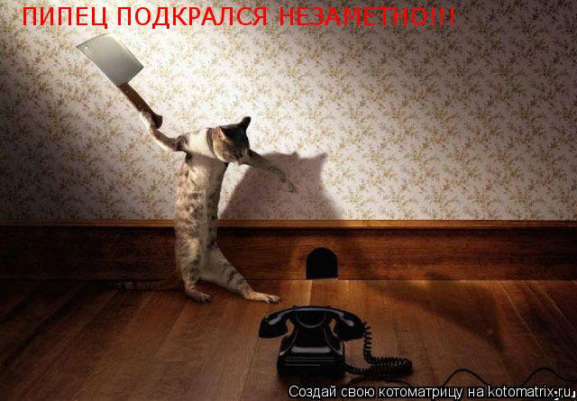 ПИПЕЦ ПОДКРАЛСЯ НЕЗАМЕТНО!!!... Котоматрица: ПИПЕЦ ПОДКРАЛСЯ НЕЗАМЕТНО!!!